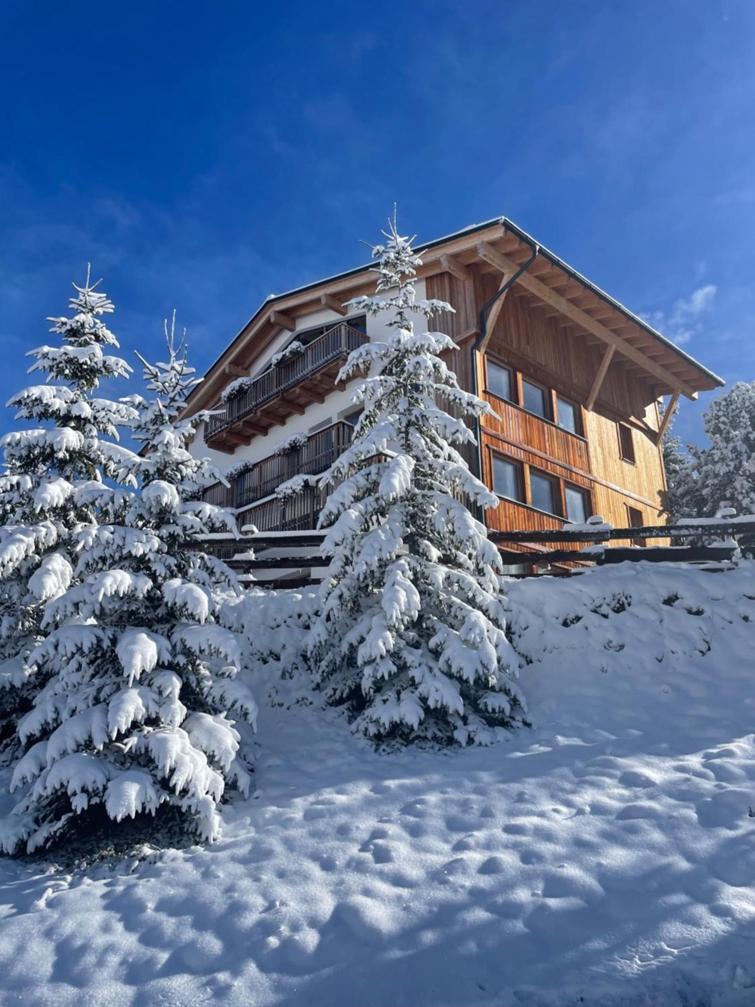 Luxury Chalet Liosa - Ski In Ski Out - Amazing View 科瓦拉因巴迪亚 外观 照片